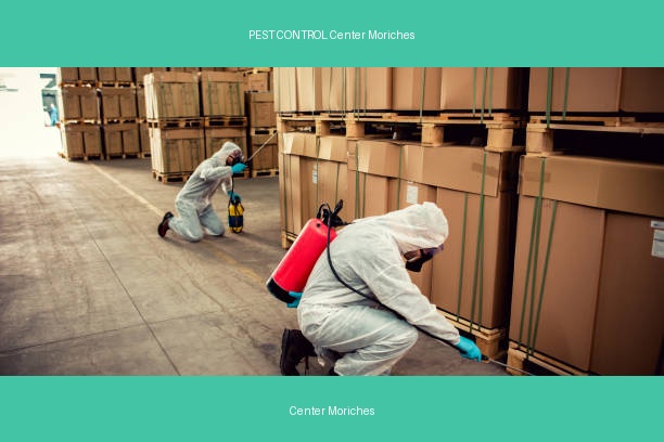 PEST CONTROL Center Moriches
